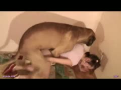 Never before have I witnessed a teenager with pigtails getting licked and penetrated by her large, concupiscent dog.